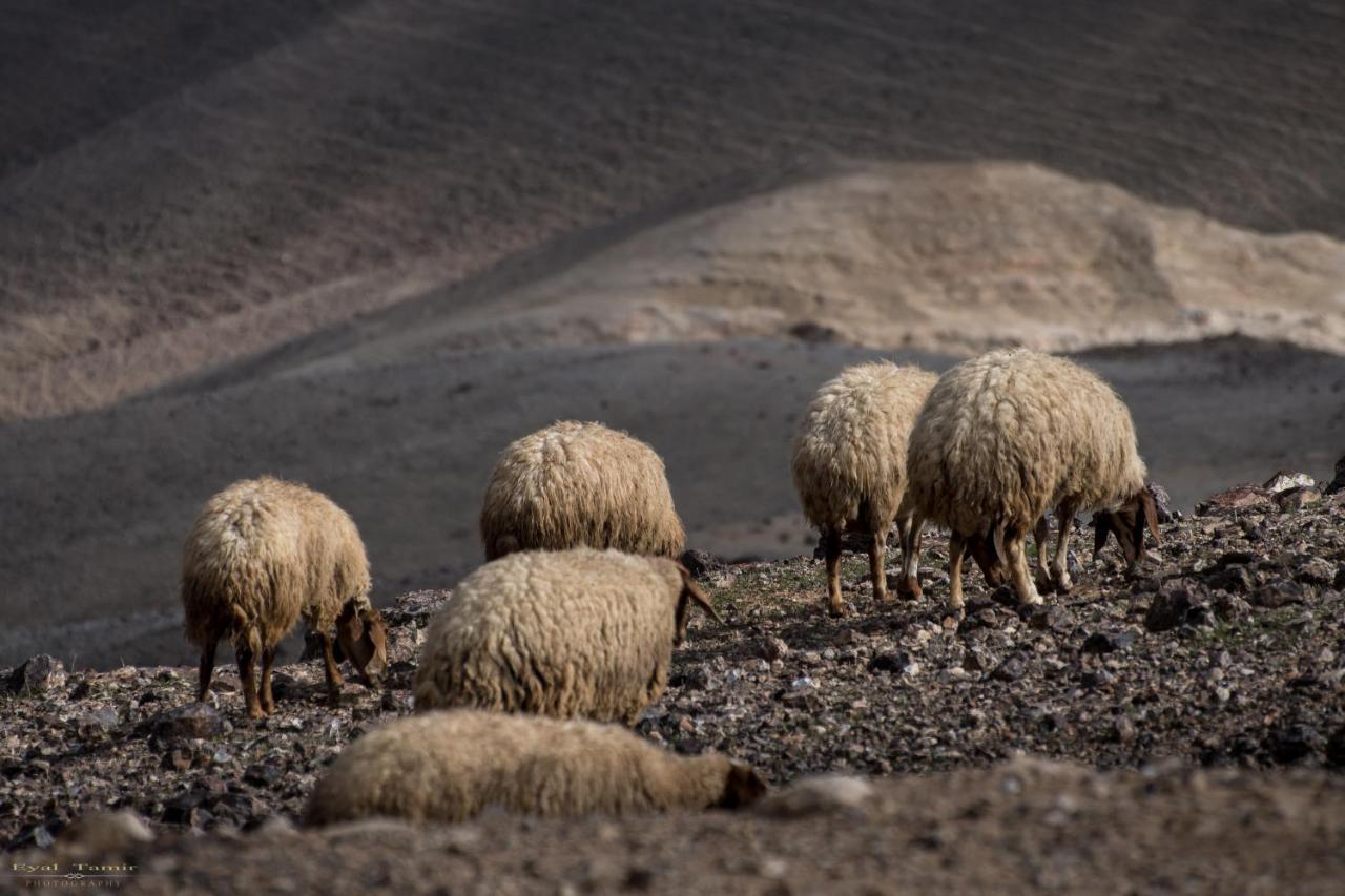 Desert Picture Arad Exterior foto