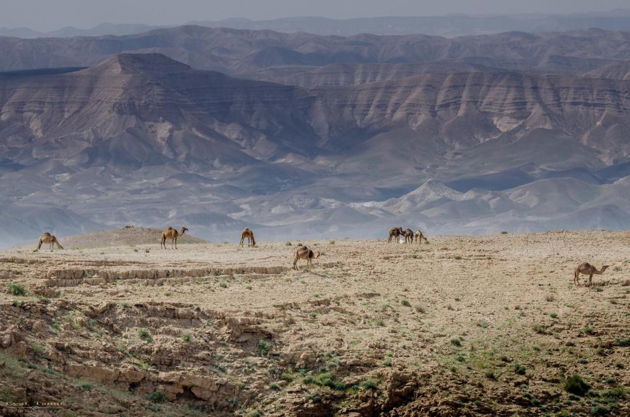 Desert Picture Arad Exterior foto