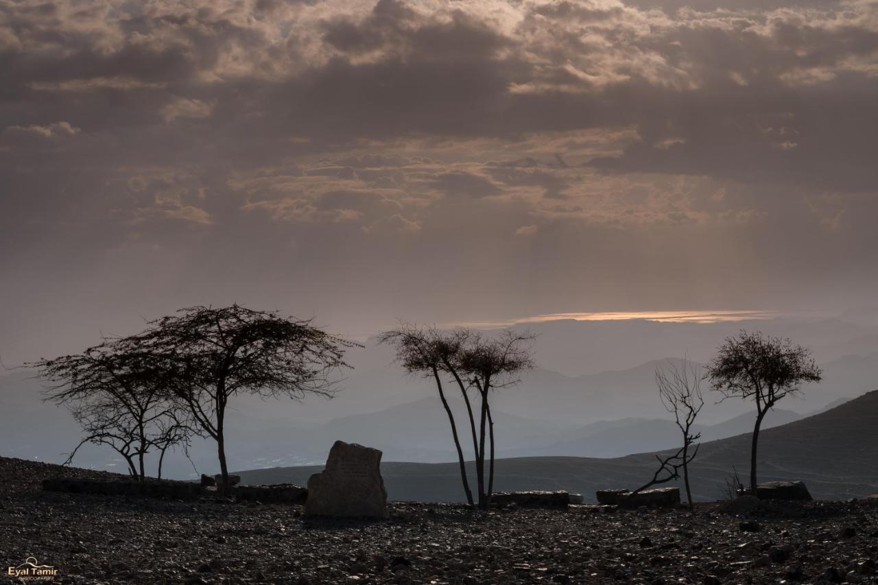 Desert Picture Arad Exterior foto